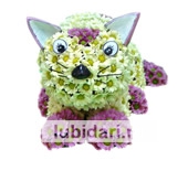 Кот из цветов из цветов