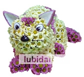 Кот из цветов из цветов